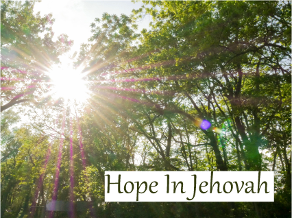 Light of Hope (Pack of 5)