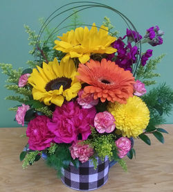 Bold and Bright - $44.99