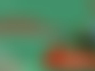 Watermelon Export from India