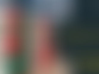 Mexico Import Export Data