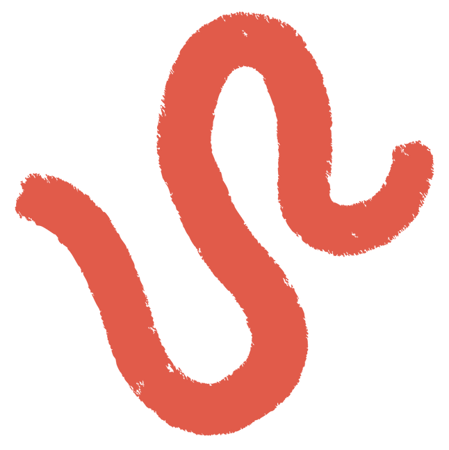 WRCP Illustration Squiggle.png