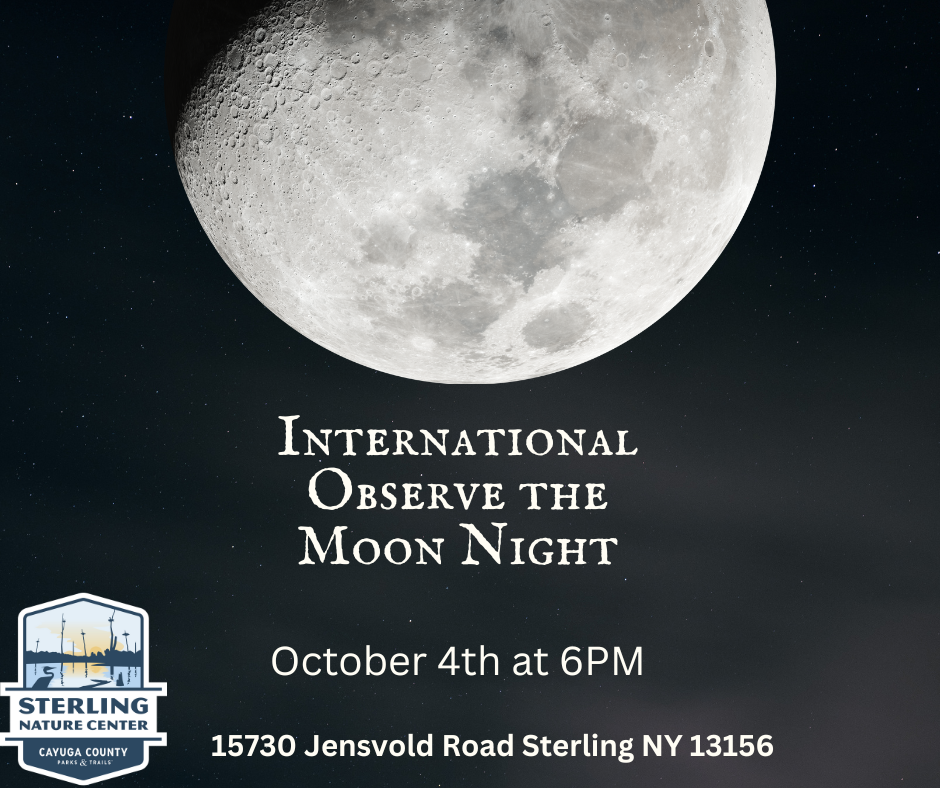 Inernational Observe the Moon Night 