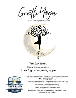 Evening Yoga.6.2.26.jpg