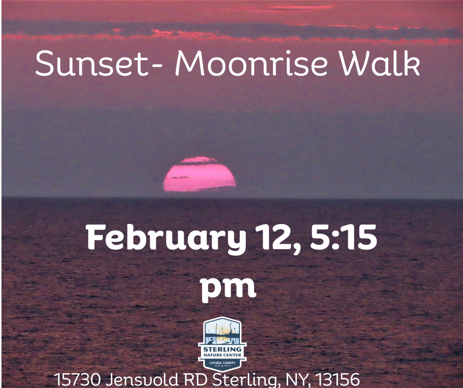 Sunset -Moonrise walk