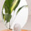 Thumbnail: Domed Mirror Base silicone mold Diameter: 9 cm h: 15 cm