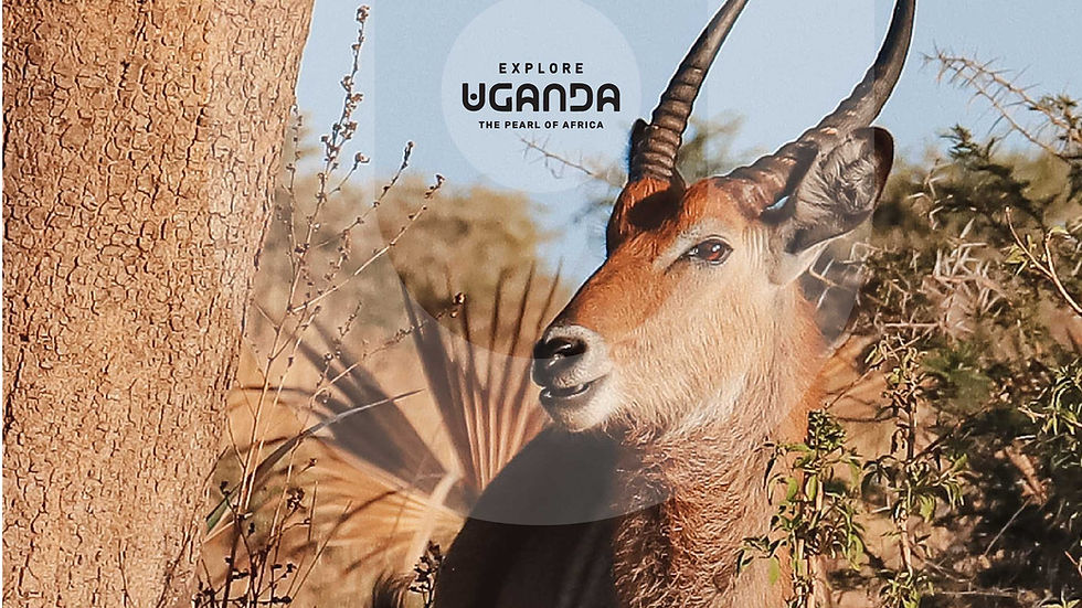 Uganda Roadshow – Munich