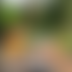 Tribune dans le CastelnauMag «Une Troisième Voie Pour Castelnau-Le-Lez » Juillet/Août 2024