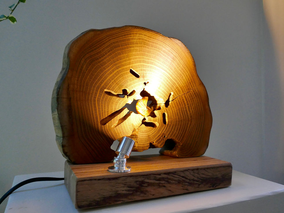 Miniature : Nautile