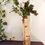 Miniature : CRAYONS de BOULEAUX