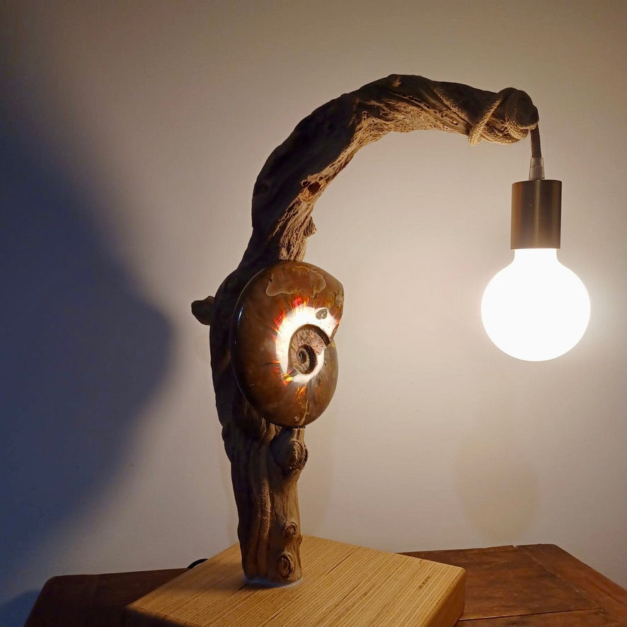 Miniature : IRIDESCENCE