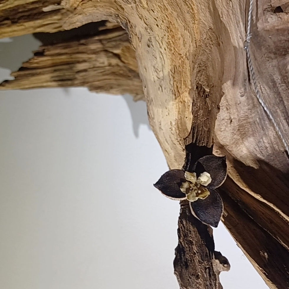 Miniature : UN GRIMPEUR