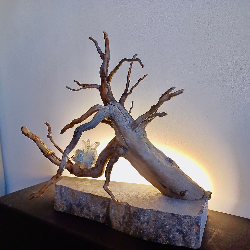 Miniature : RIF BEL