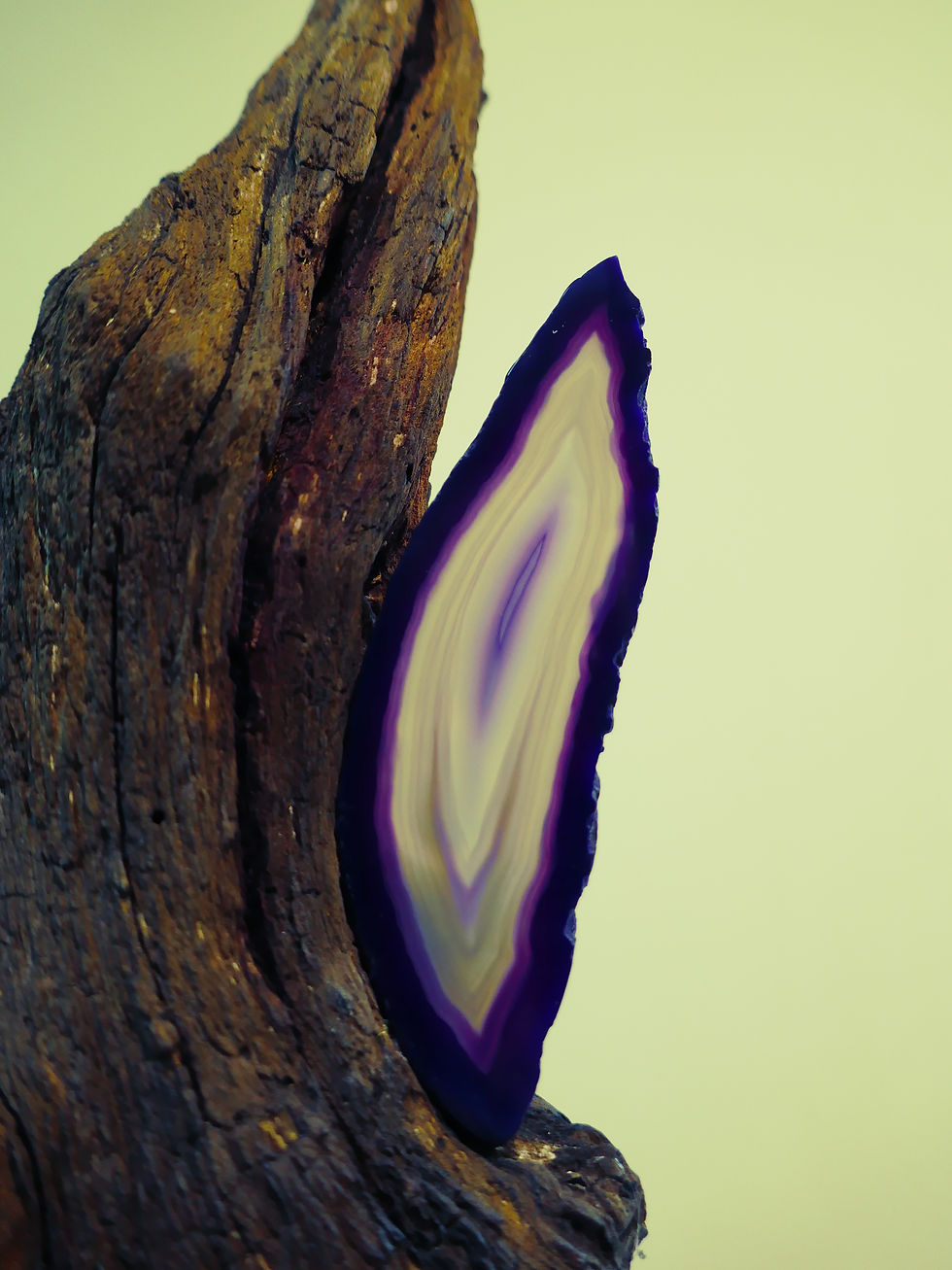 Miniature : ZÉNITUDE POURPRE