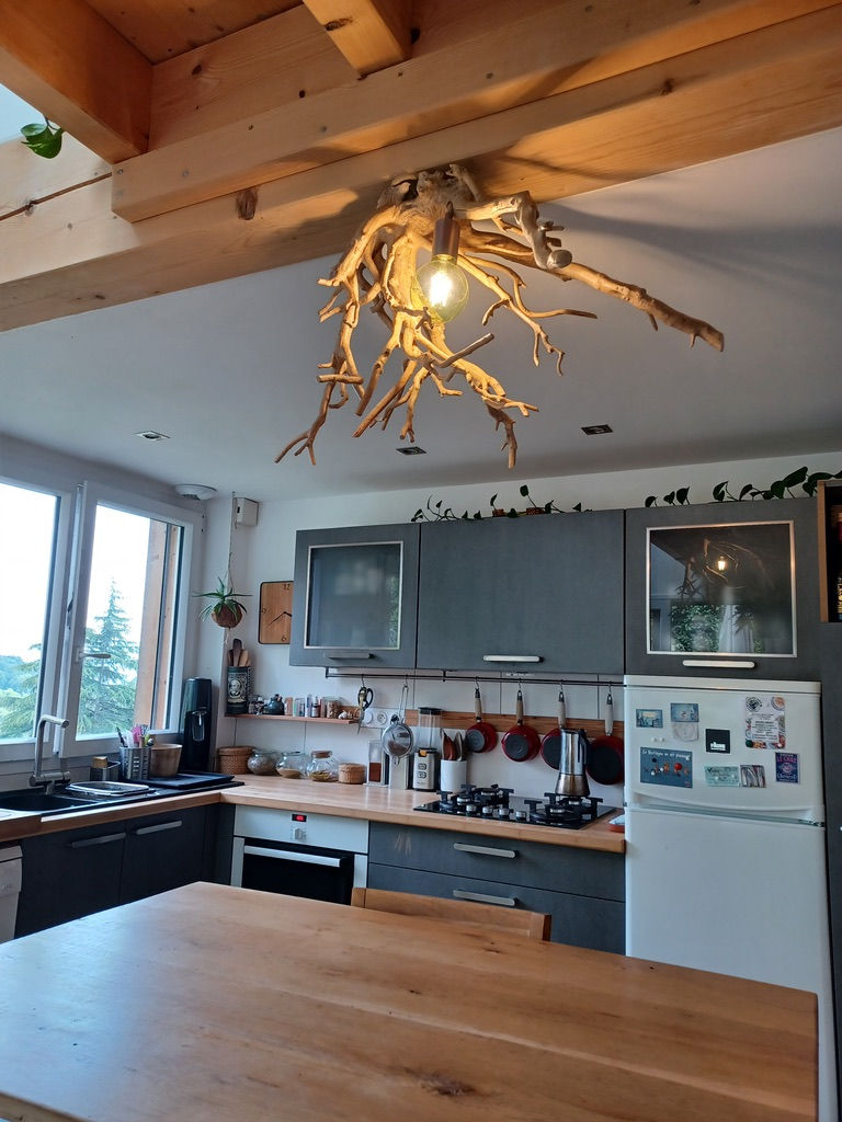 Miniature : BUI RESSUCITÉ