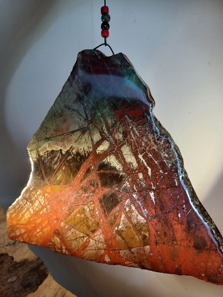 Miniature : SONORA INSIDE