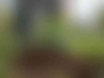 Meaningful Volunteer Opportunities to Explore in Denver