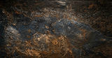 iStock-2194822209-BD.jpeg