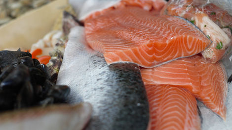 Slide show of fresh salmon