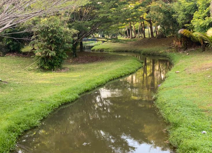 wawa river.jpg