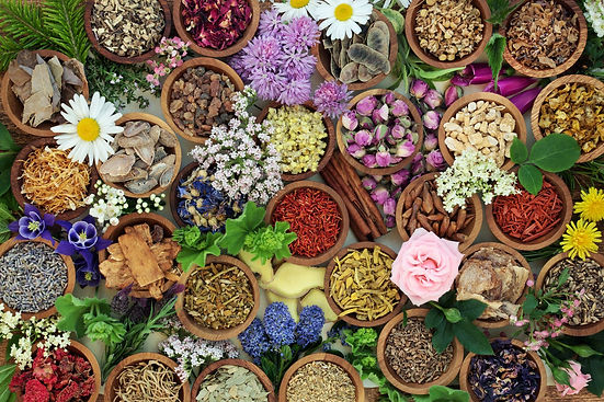 Herbs in bowls AdobeStock_194811046.jpeg