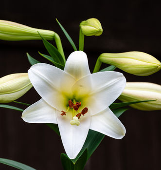 DSC_6968-Edit.jpg
