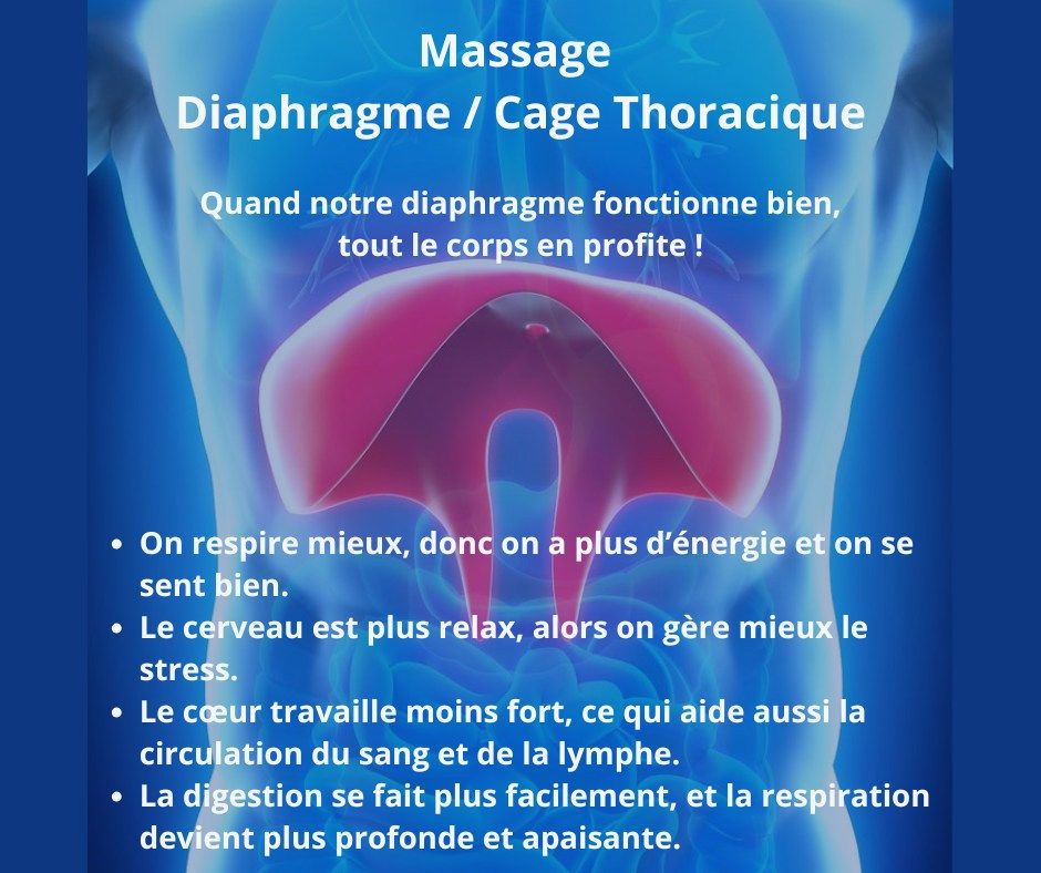 La massothérapie et le diaphragme