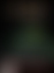 The Privileg movie download Hindi | Hollywood | 720pk, 1080pk