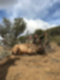 IMG_1096.jpeg