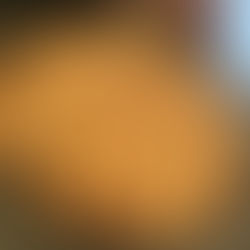 Homemade Rhubarb Pie 