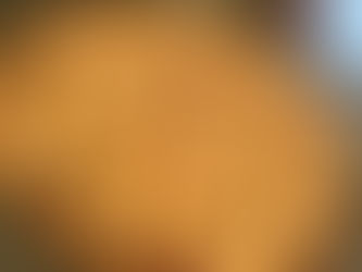 Homemade Rhubarb Pie 