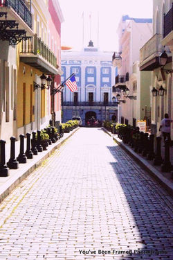 998454_699594780056068_1523911188_n