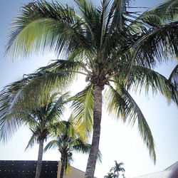 10906481_1011644845517725_1947573066321998696_n_edited