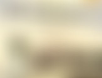 Dialogue with Dr. Zheng Lei, a Research Scholar in British Air Tourism