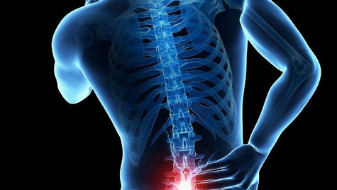 Lower Back Pain:  A Curse for the Professional Pilot