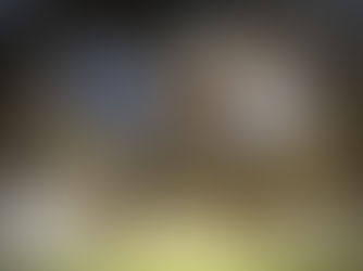 🌍⚽ Campeonato Mundial de Clubes 2025 do Clube Vizinhança: Acompanhe Tudo de Perto!