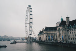 IMG_8391