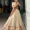 Thumbnail: Dupion Silk Zari Weaving Lehenga Set with Stitched Blouse and Zari Shimmer Dupat
