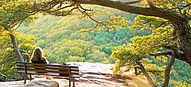 Sitting on a Bench_edited.jpg