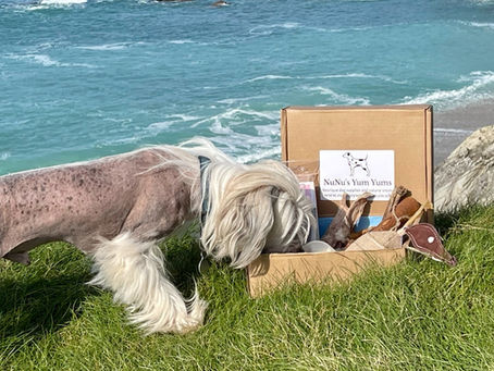 Unleash the Joy of Spring: Surprise Your Pup with a Tail-Wagging Subscription Treat Box!