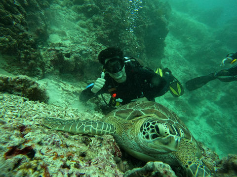 Couse Promo student with turtle