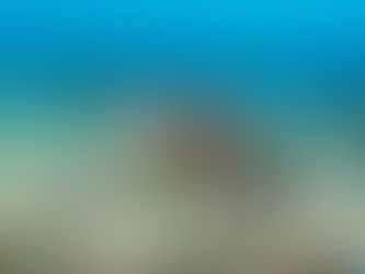 The Best Snorkeling Spots in Panglao, Bohol