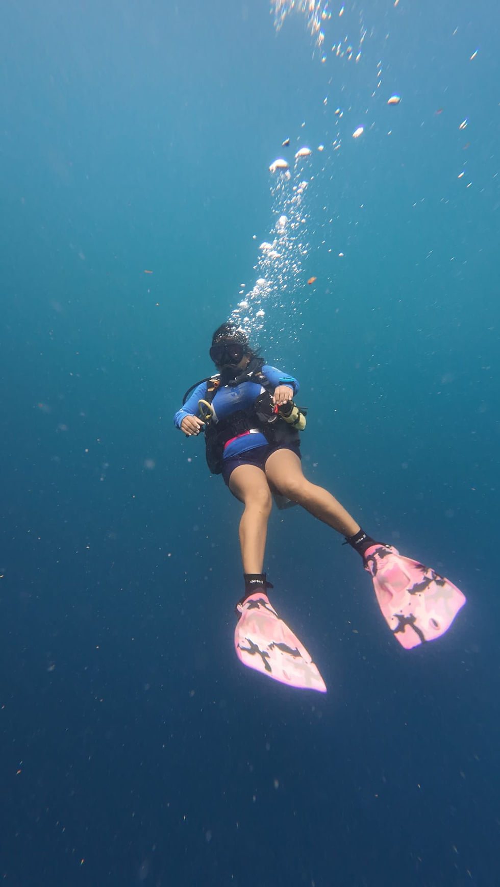 Formation Divemaster aux Philippines – Tous les avantages