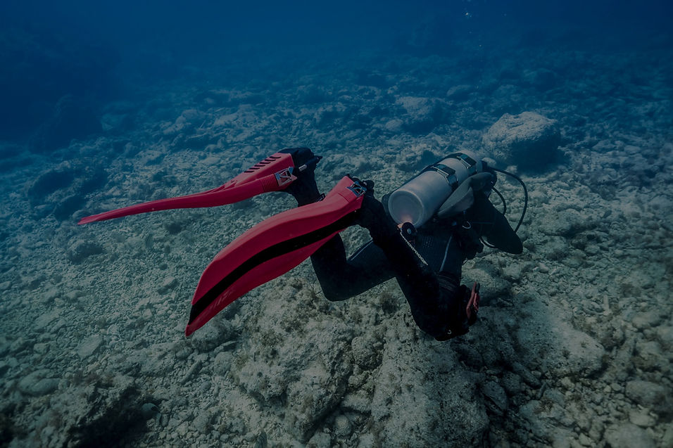 Panglao Diving Courses Banner