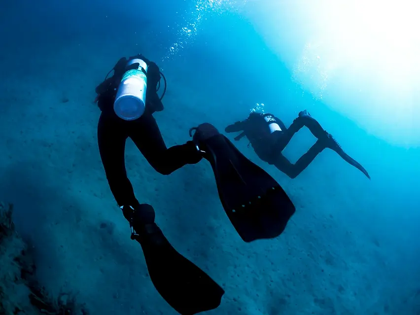 SKA Panglao Scuba Open Water Divers Course Above (1) (2).webp