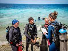 Plongée sous-marine : niveaux français et certifications internationales