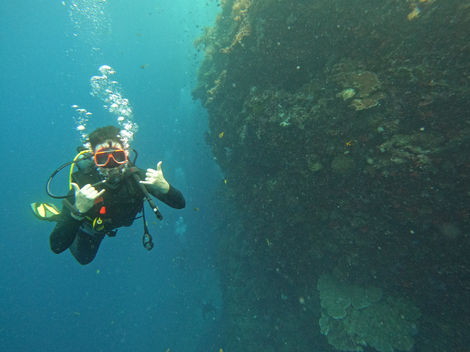 discover scuba diving napaling shaka cool!