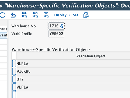 SAP EWM RFUI Validation and Verification Profile