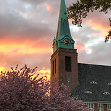 IMG_6886.jpeg