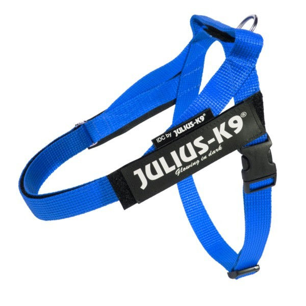 Miniatura: Arnés IDC