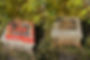 Before and after of graffiti removal by GunkGo—restoring surfaces in Missoula.
